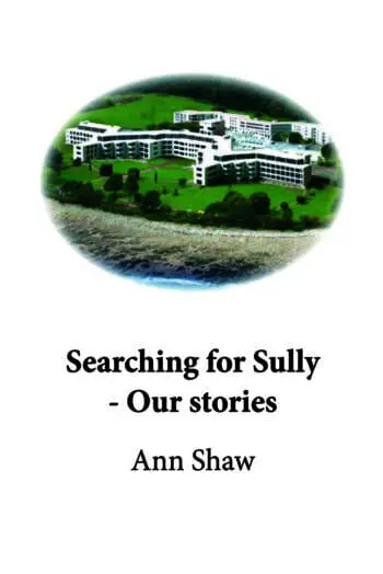 Searching For Sully
