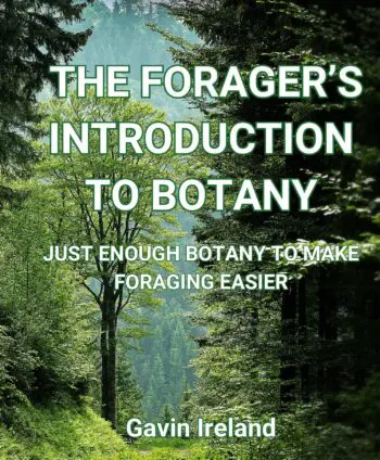 A Forager's Introduction to Botany