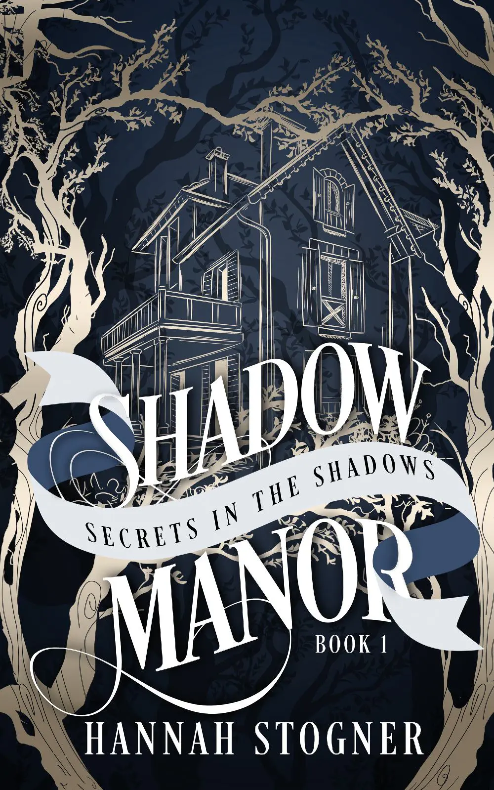 Shadow Manor: Secrets in the Shadows
