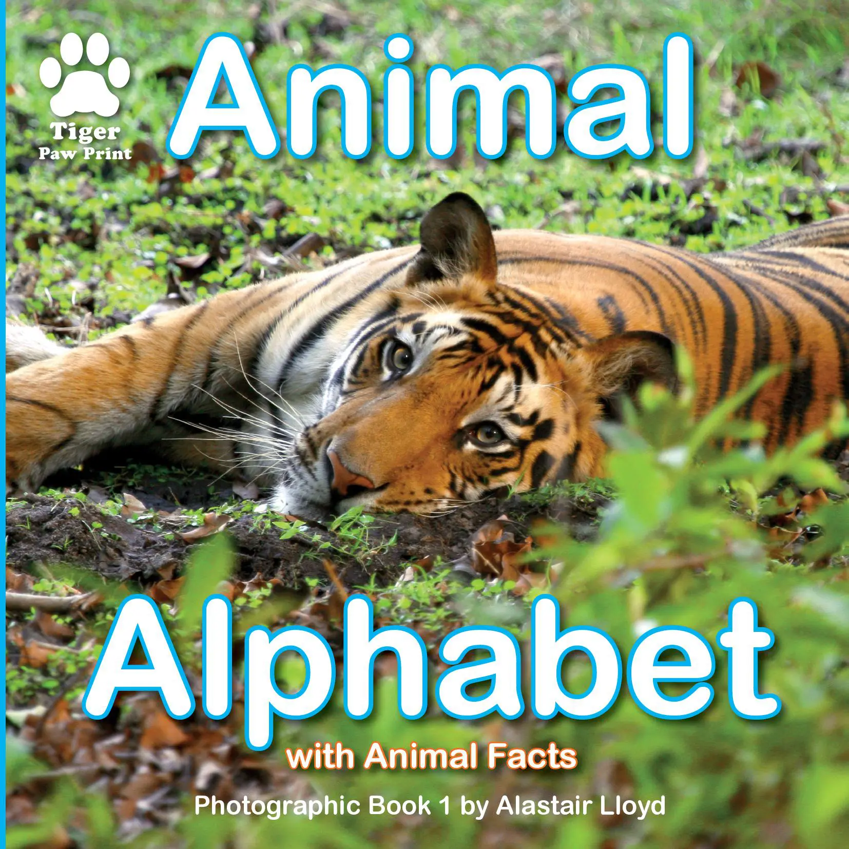 Animal Alphabet