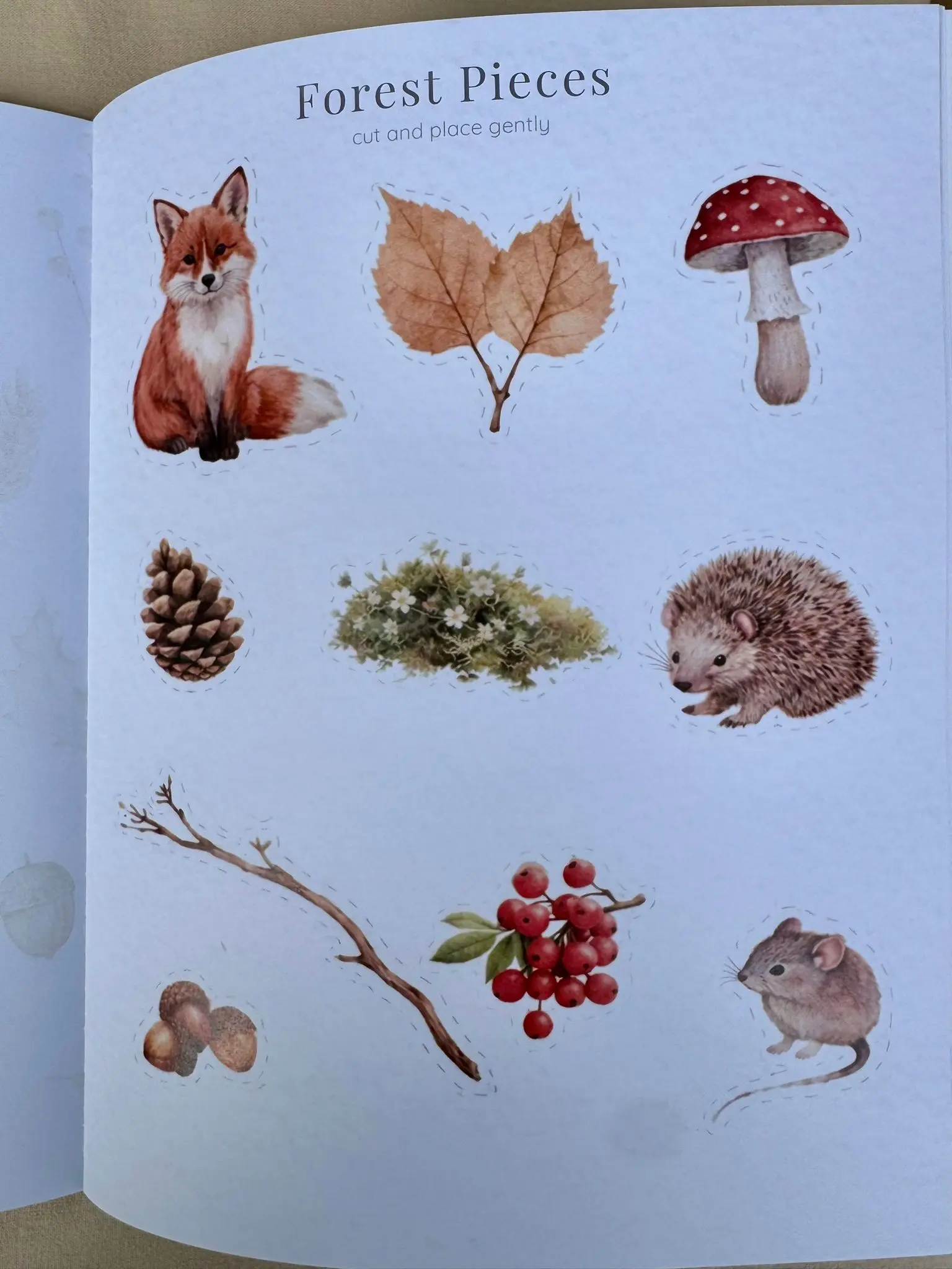 Nordic Autumn PlayBook