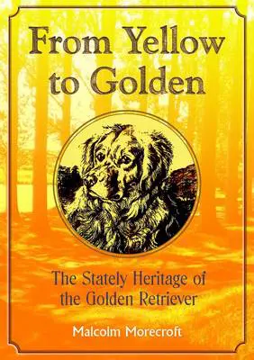 From Yellow to Golden
