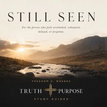 Still Seen