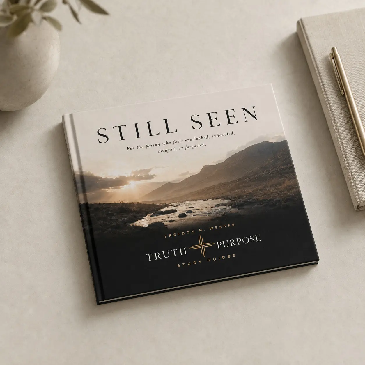 Still Seen