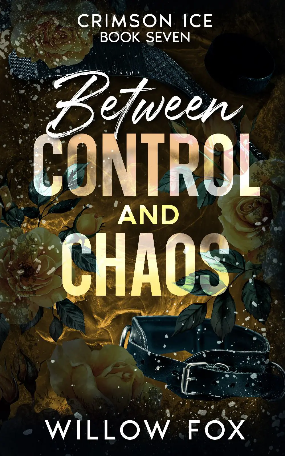 Between Control and Chaos