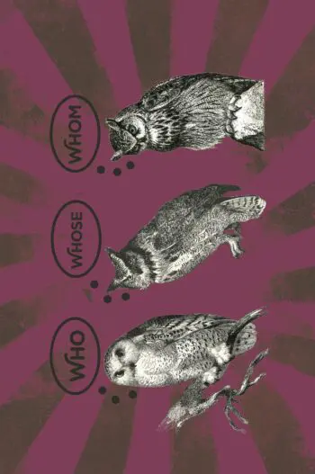 Astute Owls Who? Whose? Whom? Notebook (6x9 Lined Spiral Bound)