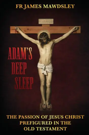 Adam's Deep Sleep