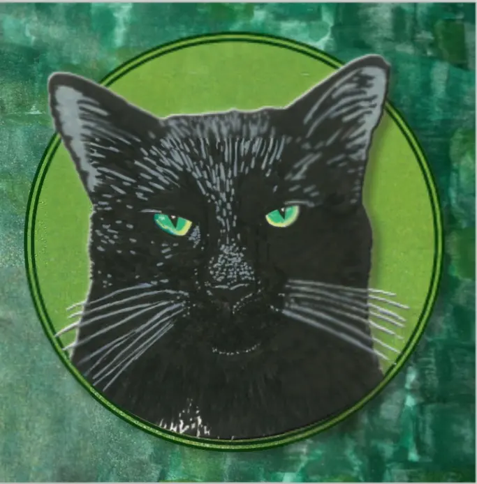 Cattitude