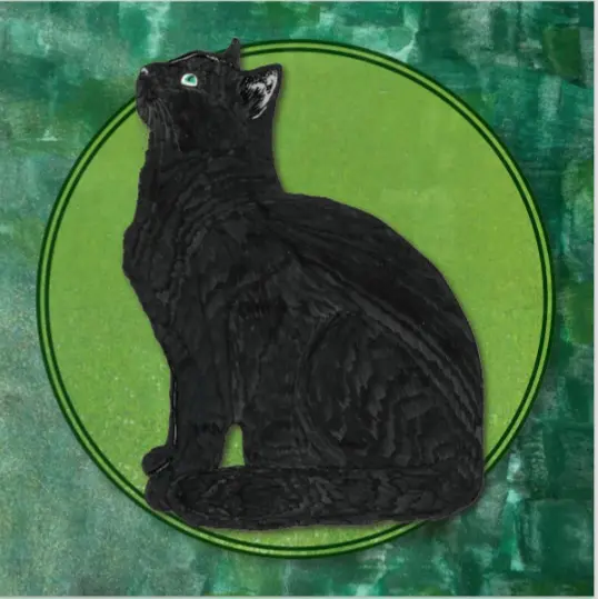 Cattitude