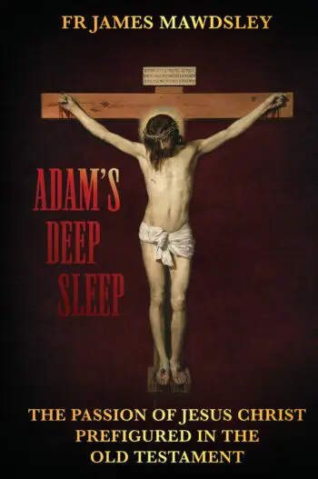 Adam's Deep Sleep