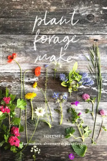 Plant Forage Make, Volume 2: Colour