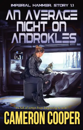 An Average Night on Androkles
