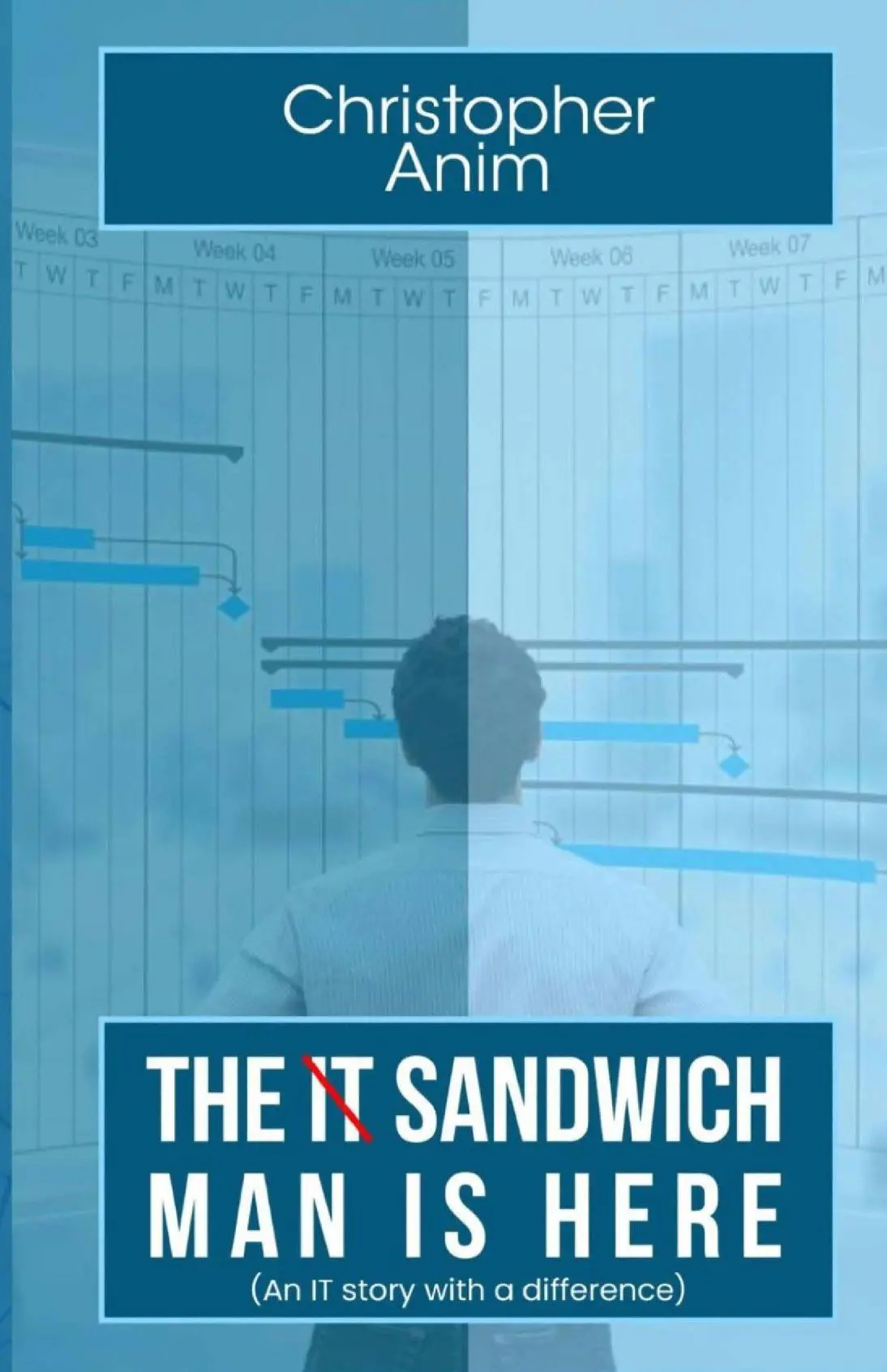 The IT Sandwich Man is Here