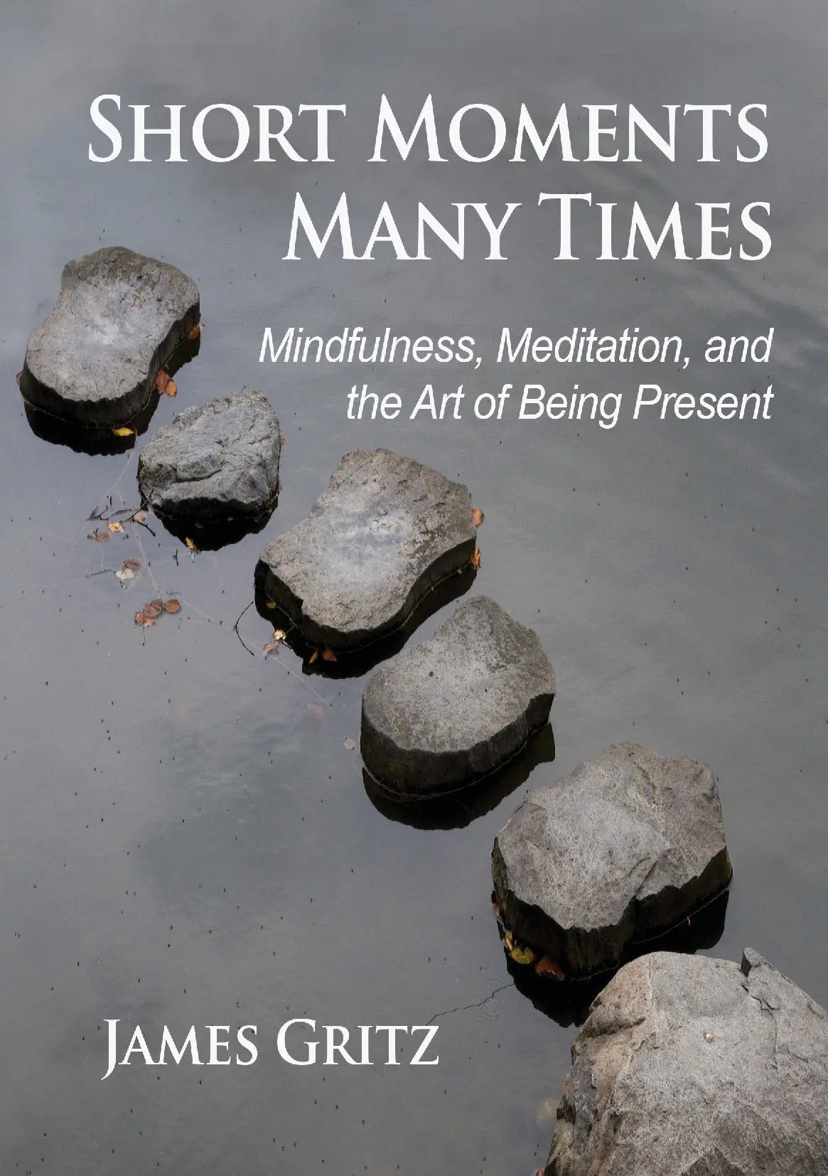 Short Moments, Many Times Mindfulness, Meditation, and the Art of Being Present