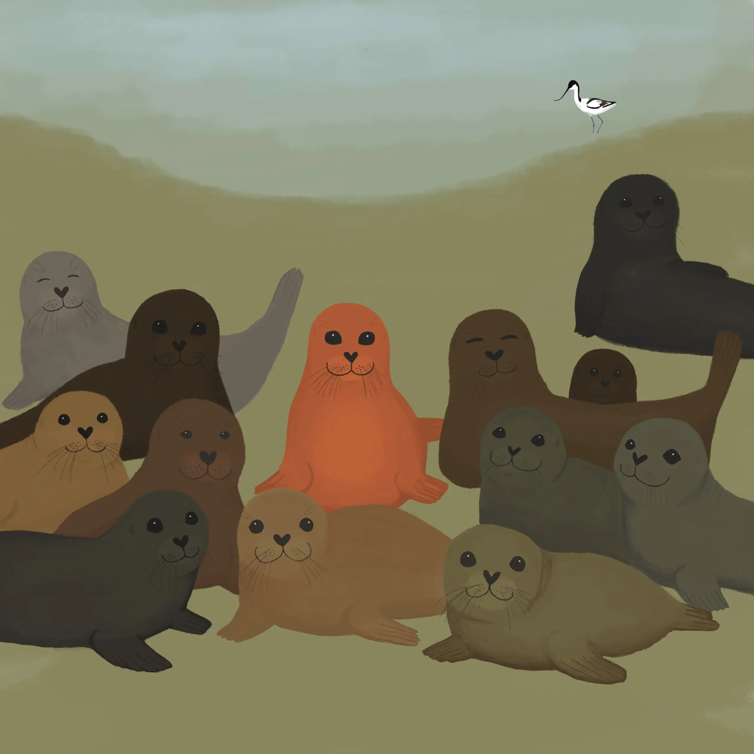 Rusty the Orange Seal