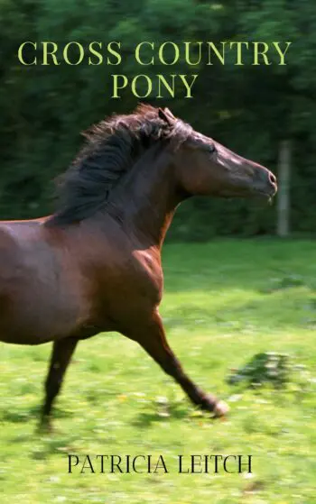 Cross Country Pony