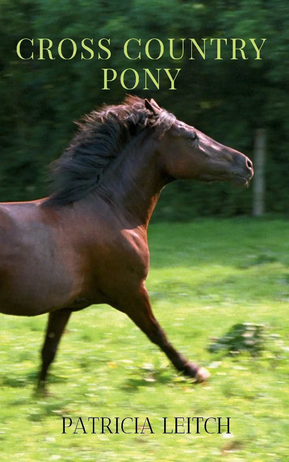Cross Country Pony
