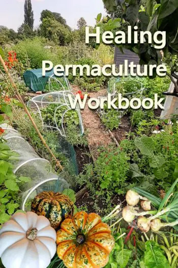 Healing Permaculture Workbook