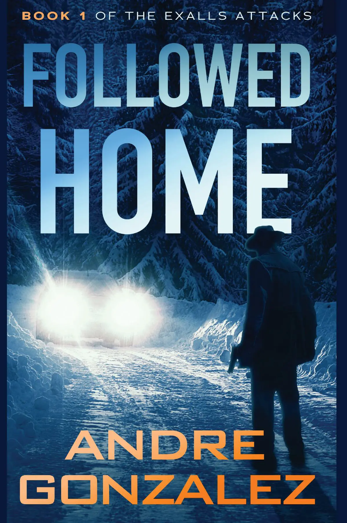 Followed Home