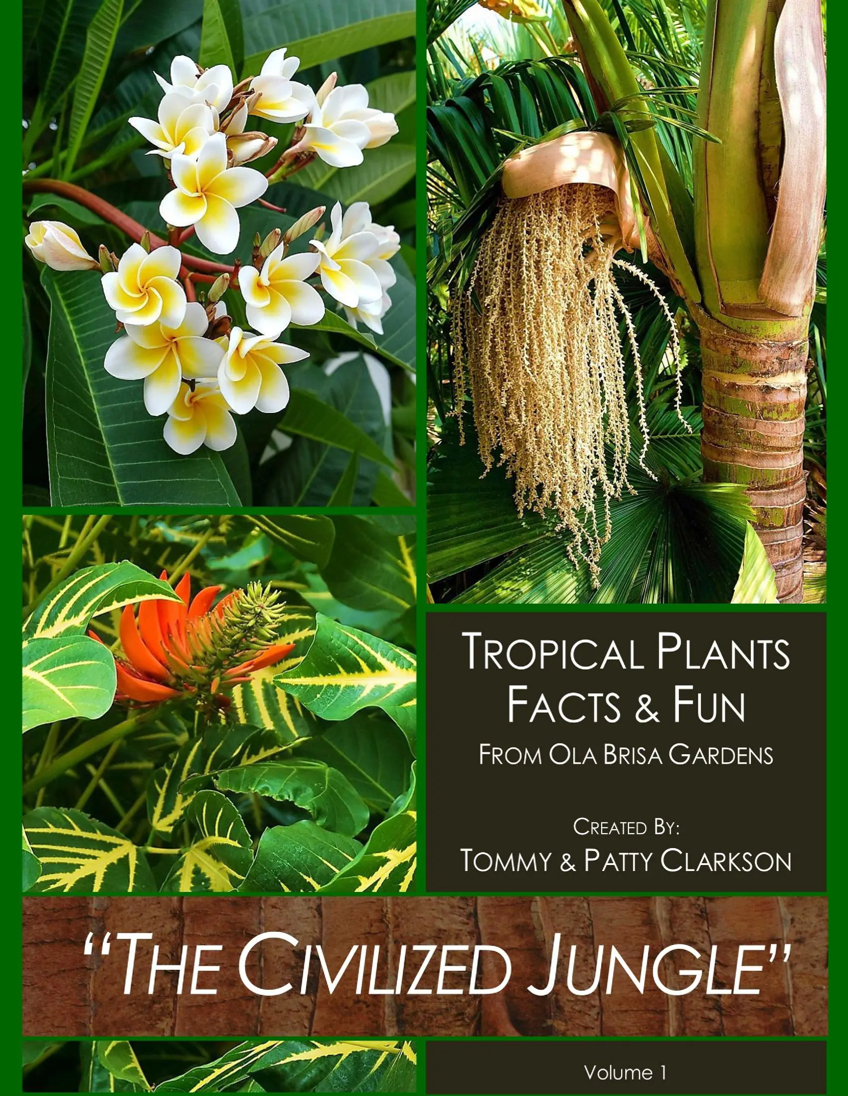 The Civilized Jungle Volume I