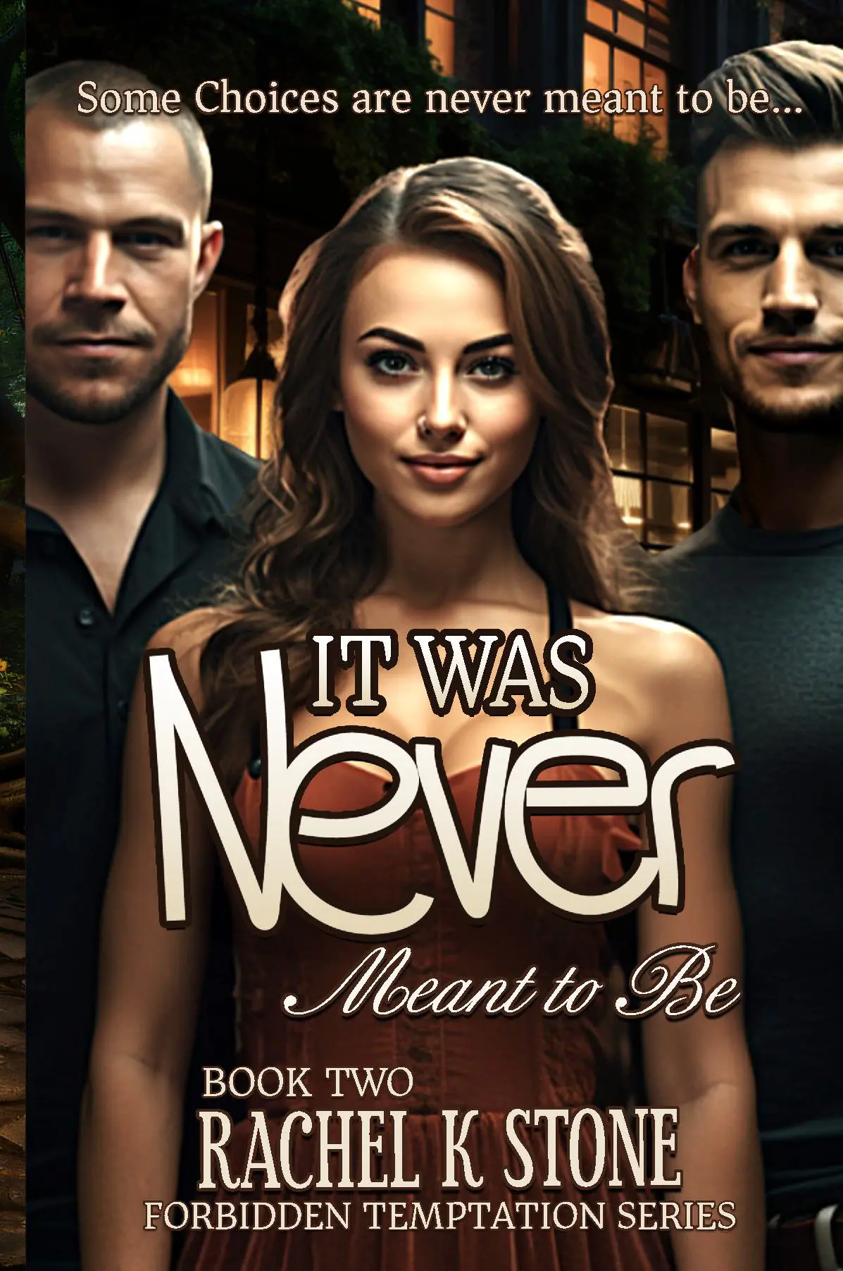 It Was Never Meant to Be (Forbidden Temptations Series, Large Print Paperback Book 2)