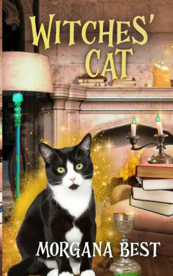 Witches’ Cat