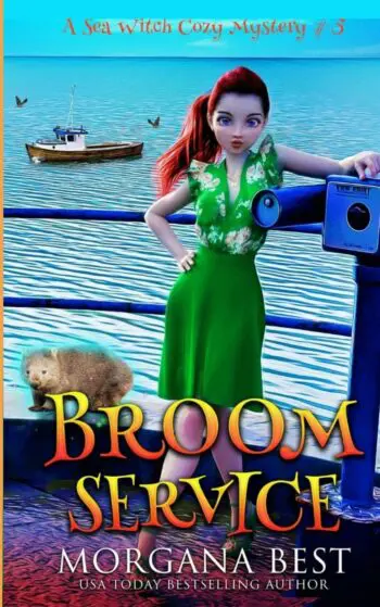 Broom Service