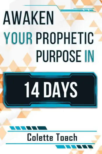 Awaken Your Prophetic Purpose in 14 Days