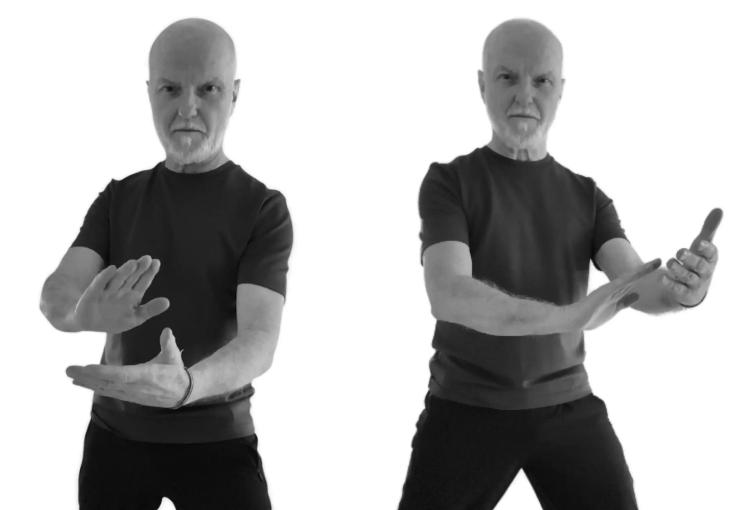 The Beginners Guide to the Tai Chi Form
