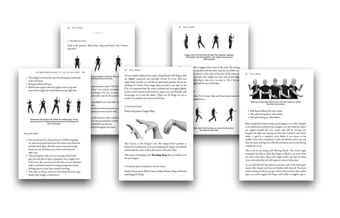 The Beginners Guide to the Tai Chi Form