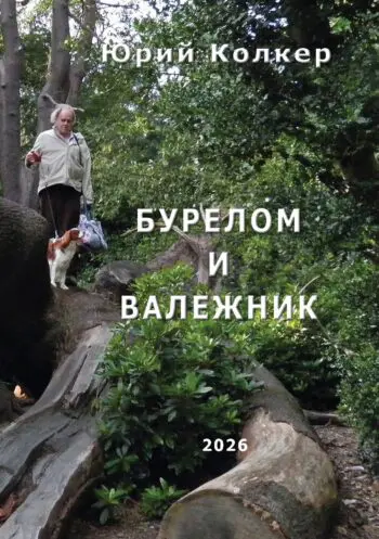 БУРЕЛОМ И ВАЛЕЖНИК