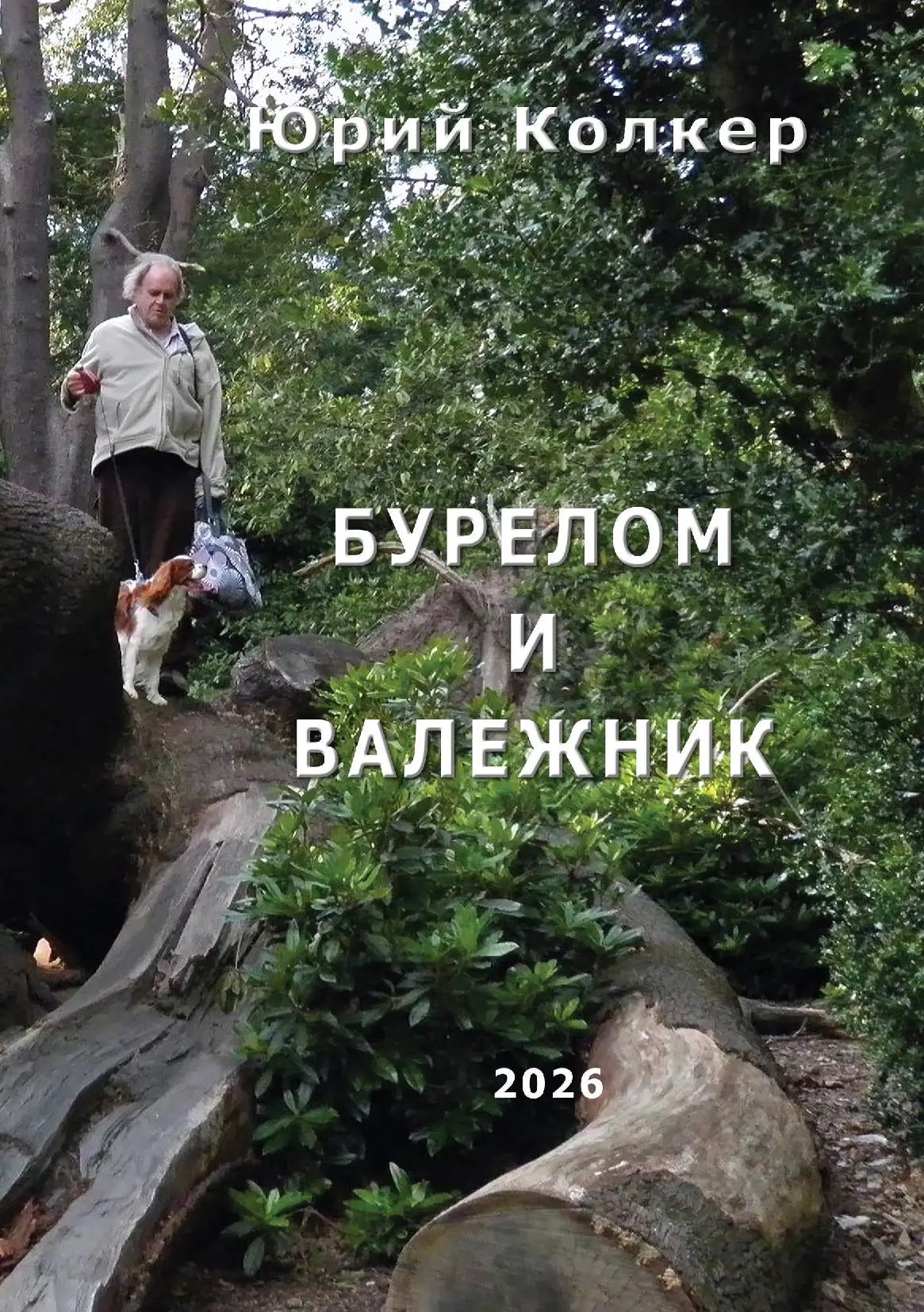 БУРЕЛОМ И ВАЛЕЖНИК