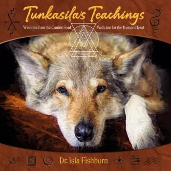 Tunkasila's Teachings (HB)