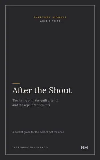 After the Shout Everyday Signals