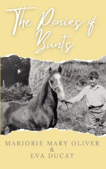 The Ponies of Bunts