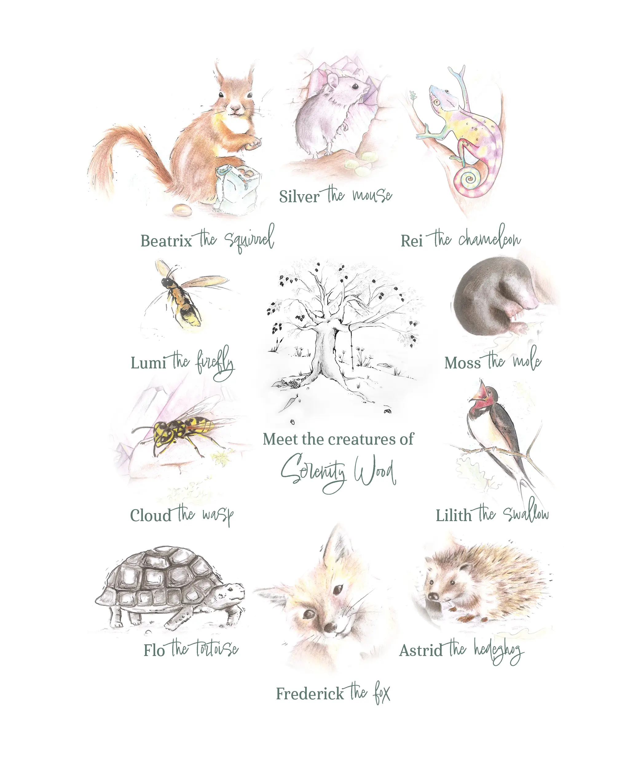 Stories from The Stillness Tree