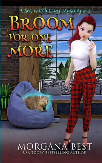 Broom For One More