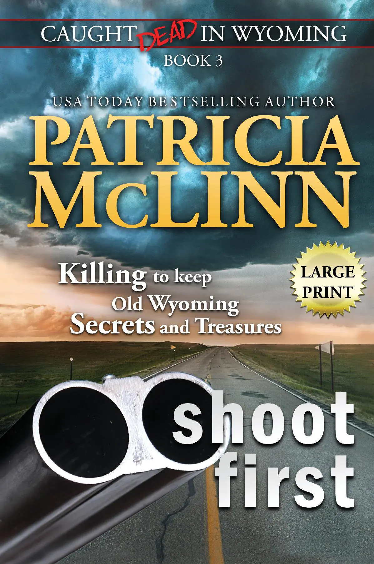 Shoot First: Large Print