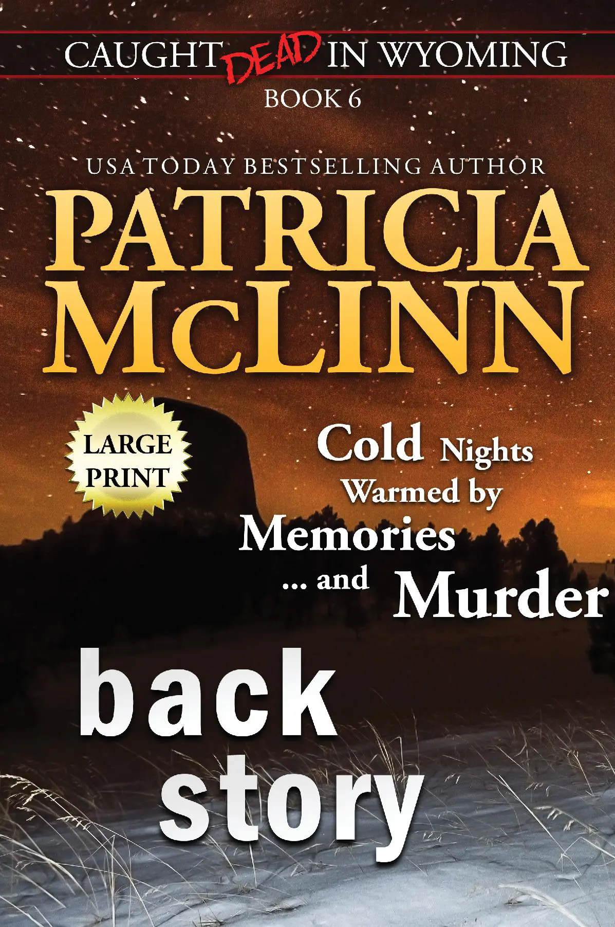 Back Story: Large Print