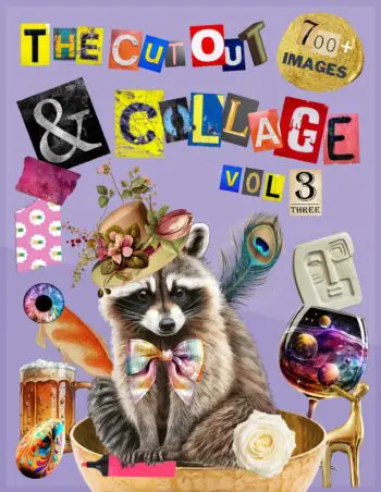 The Cut Out And Collage Activity Book Extraordinary Things Vol.3