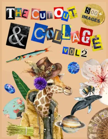 The Cut Out And Collage Activity Book Extraordinary Things Vol.2