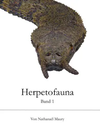 Herpetofauna Band1 GE
