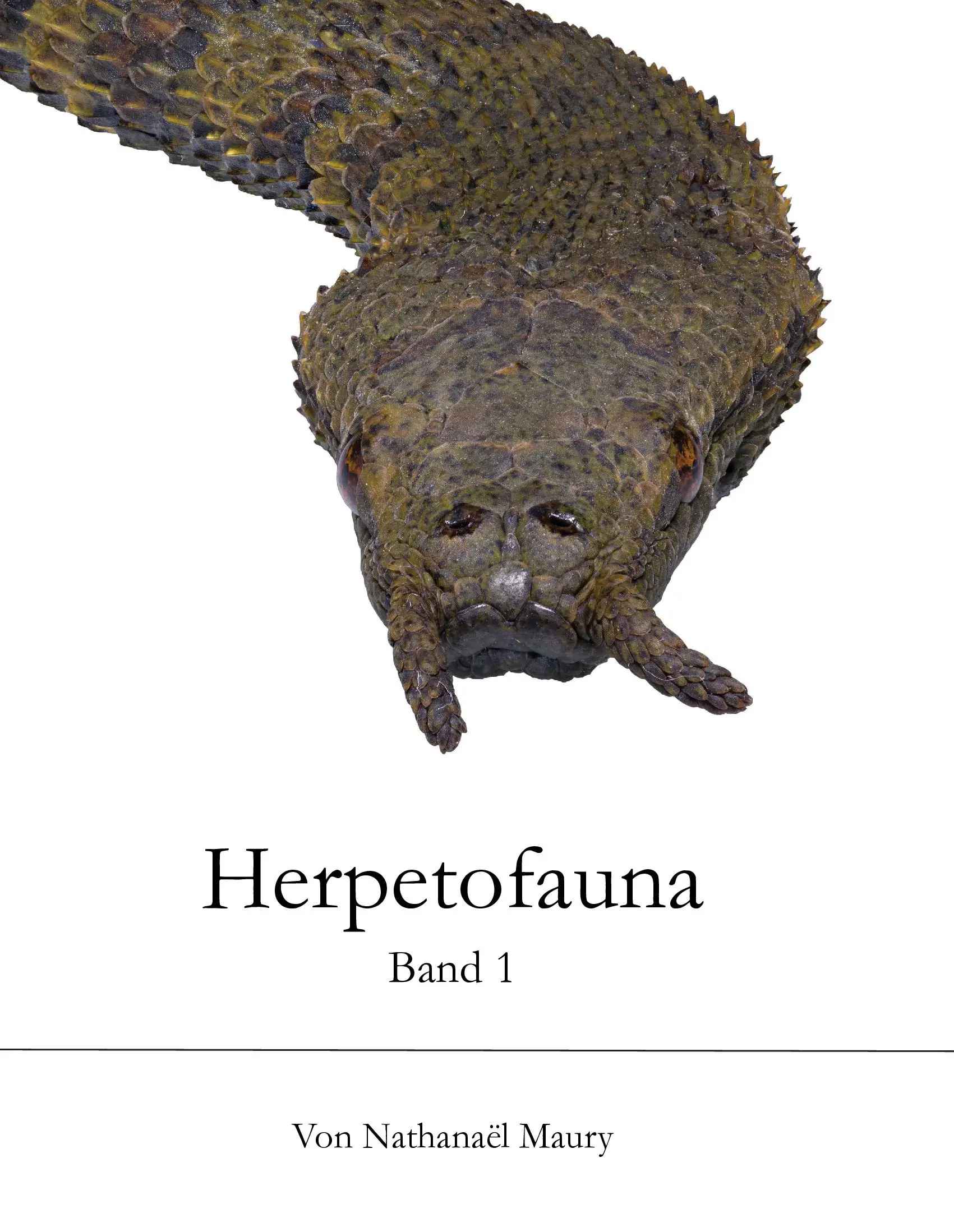 Herpetofauna Band1 GE