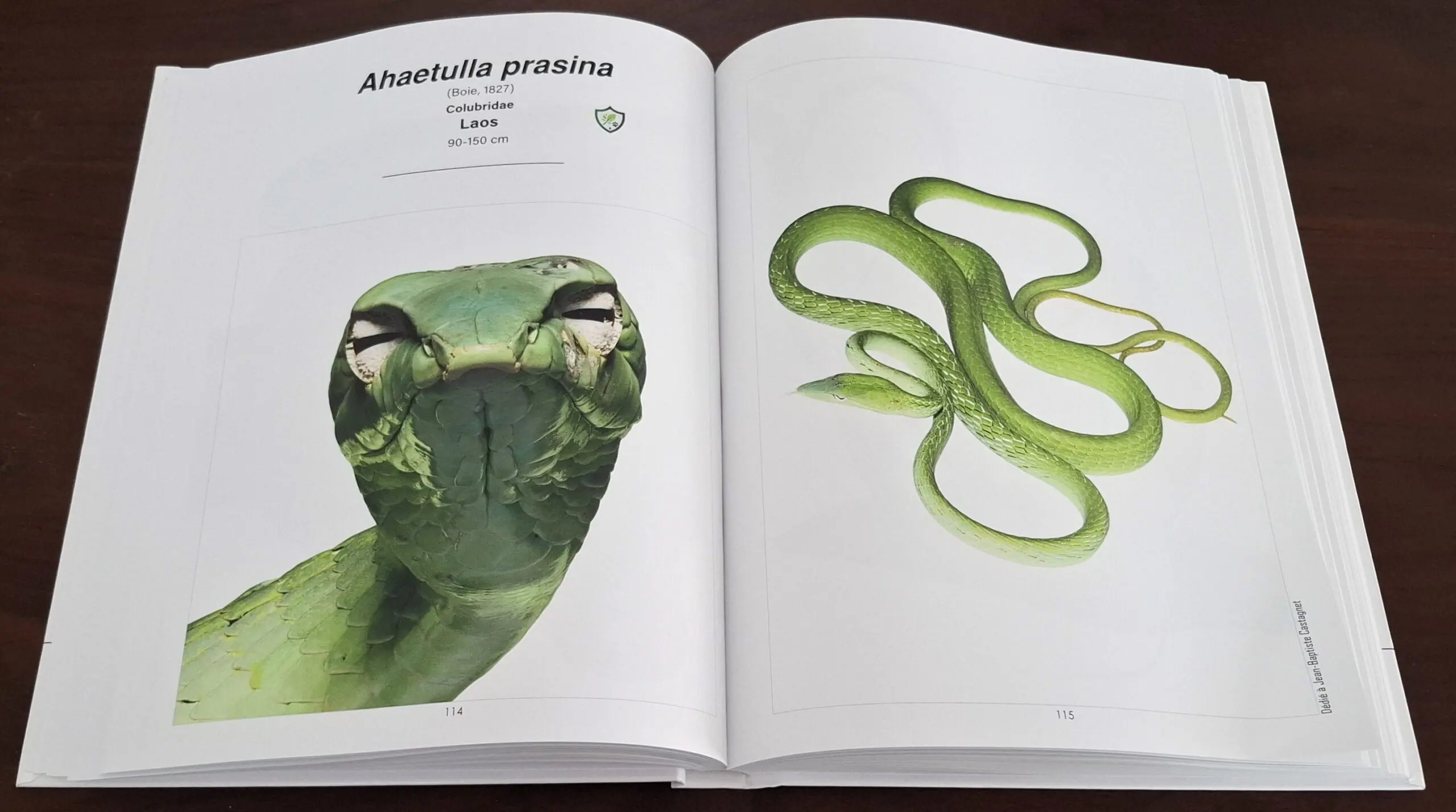 Herpetofauna Band1 GE