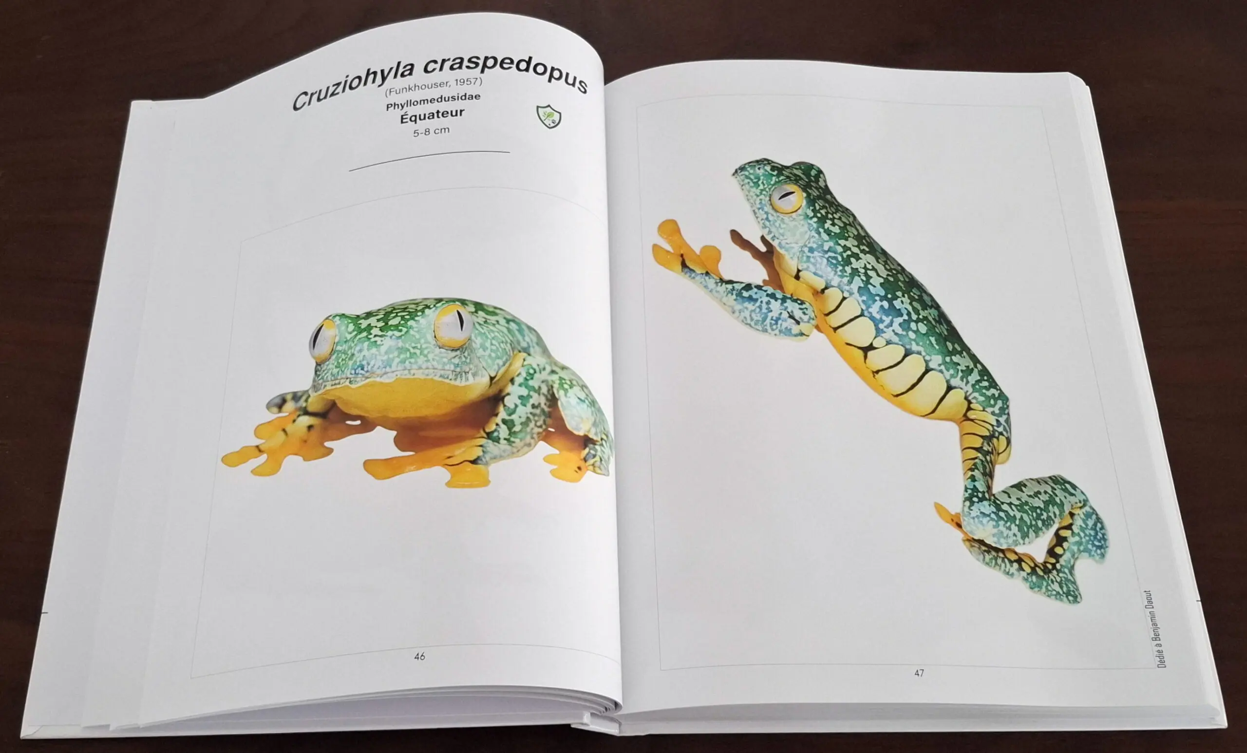 Herpetofauna Band1 GE
