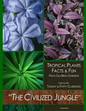 The Civilized Jungle Volume II