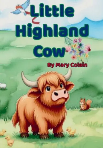 Little Highland Cow