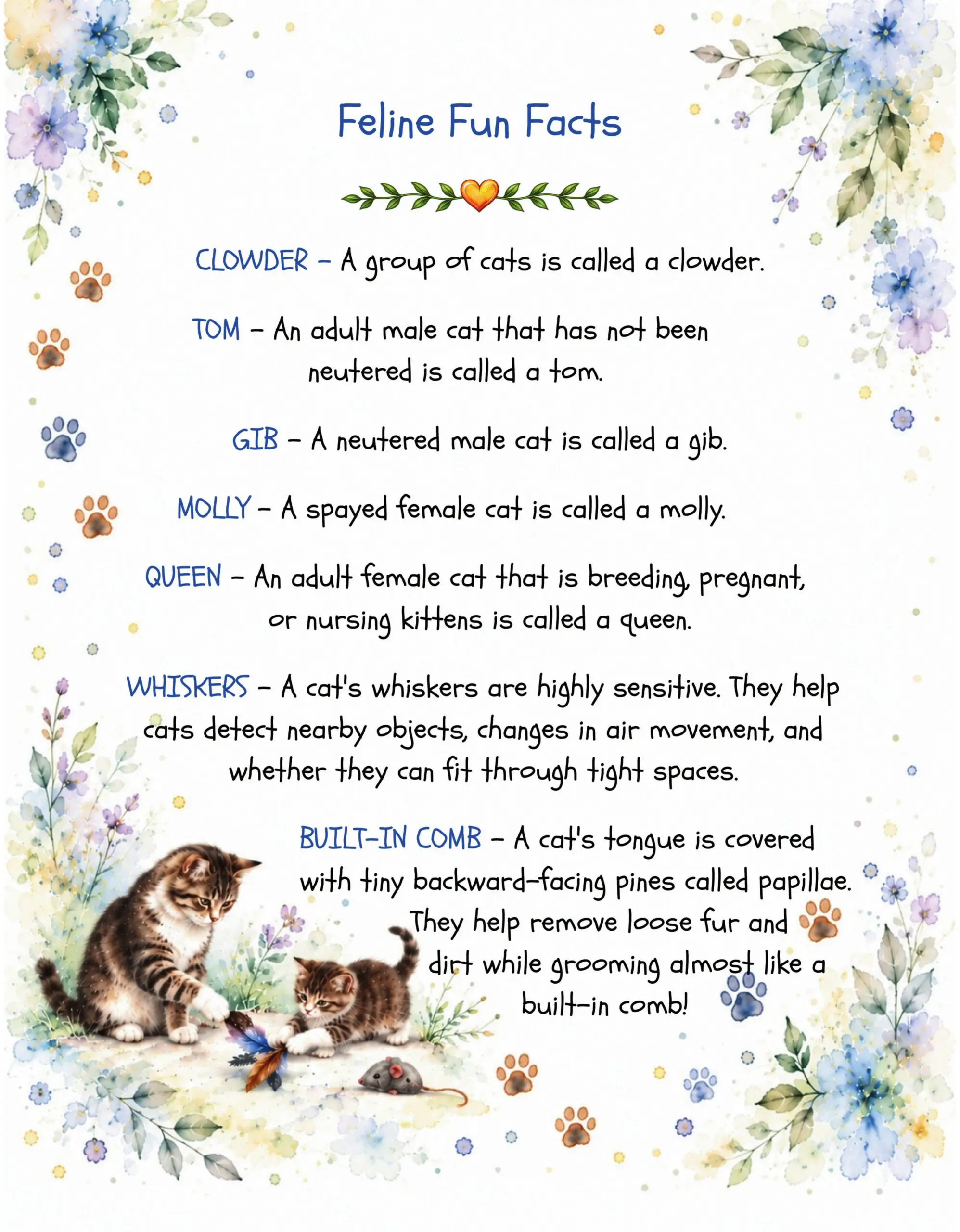 Cats, Cats, Everywhere Cats