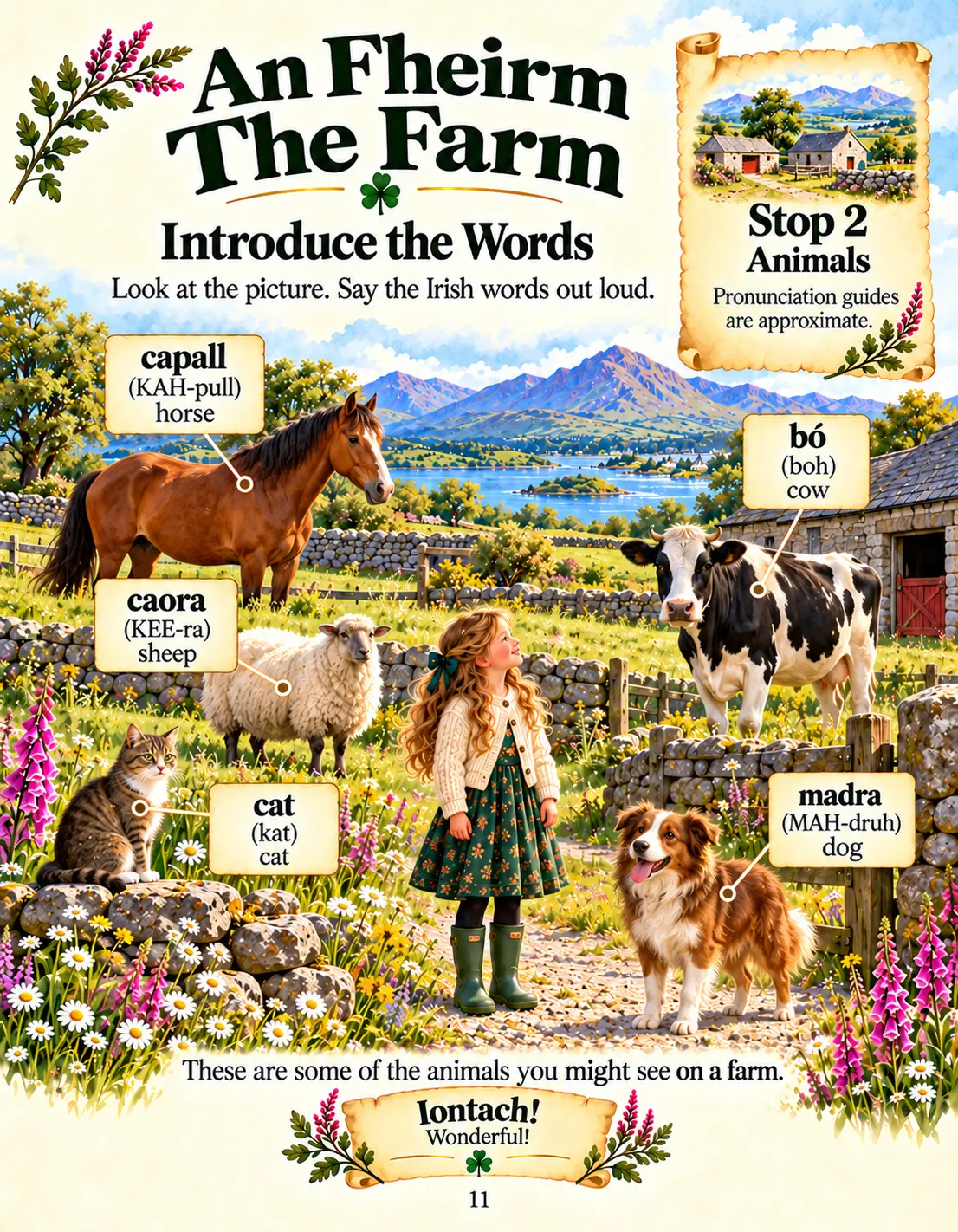 Learning Irish in Connemara