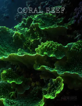 Coffee Table Book of: Coral Reef (Paperback)